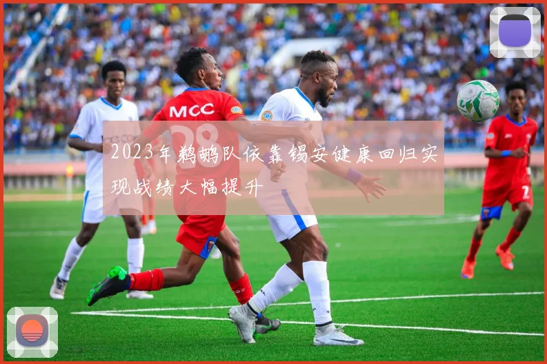 2023年鹈鹕队依靠锡安健康回归实现战绩大幅提升