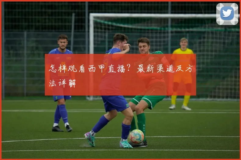 怎样观看西甲直播？最新渠道及方法详解